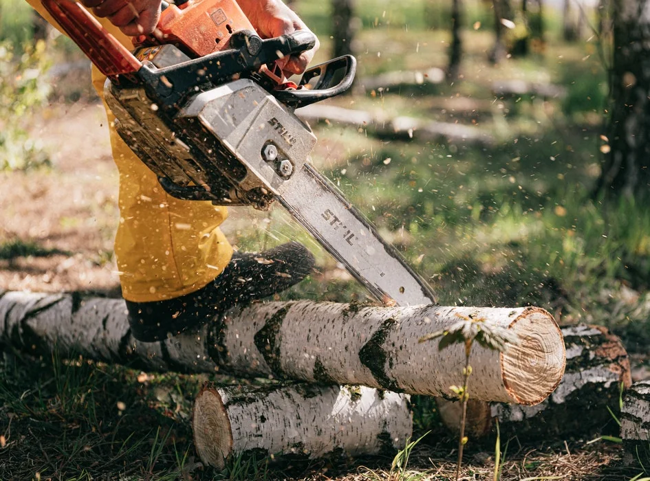 Stihl motorsåg i arbete – Munkfors Trädgårdstjänst